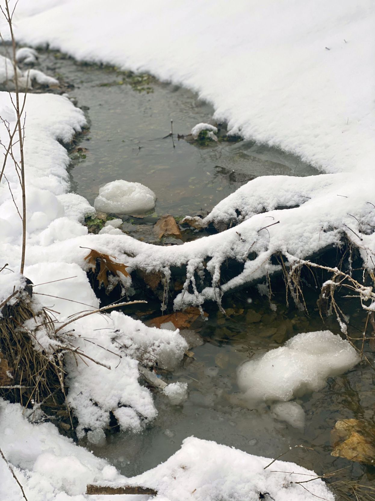 Wagoner County Snow Day